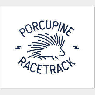 Porcupine Racetrack (dark) Posters and Art